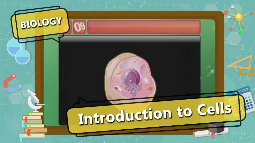 CBSE Class 9-Cell - Introduction
